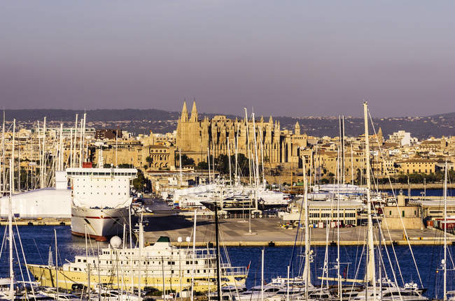 Spagna, Maiorca, Palma di Maiorca, Porto con Cattedrale di La Seu — Foto stock