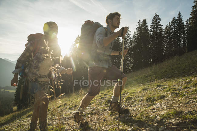 Áustria, Tirol, Tannheimer Tal, jovem casal caminhando à luz do sol no prado alpino — Fotografia de Stock