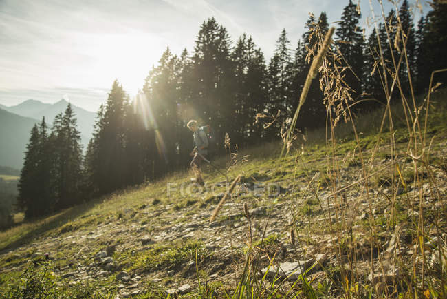 Autriche, Tyrol, Tannheimer Tal, jeune homme en randonnée au soleil sur prairie alpine — Photo de stock