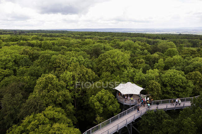 Germany, Thuringia, Hainich, canopy walkway Hainich — Stock Photo