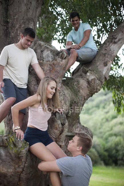 Adolescente ayudando a su novia a bajar del árbol - foto de stock