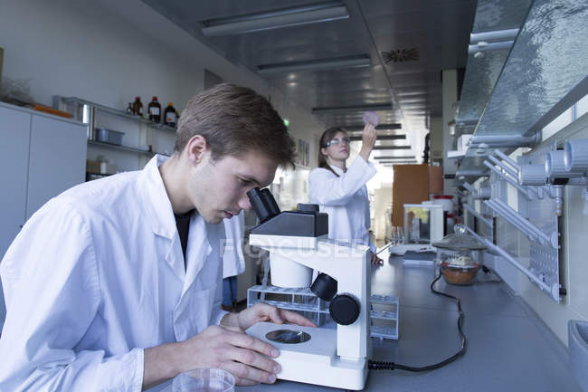 Químicos jóvenes trabajando en un laboratorio químico - foto de stock