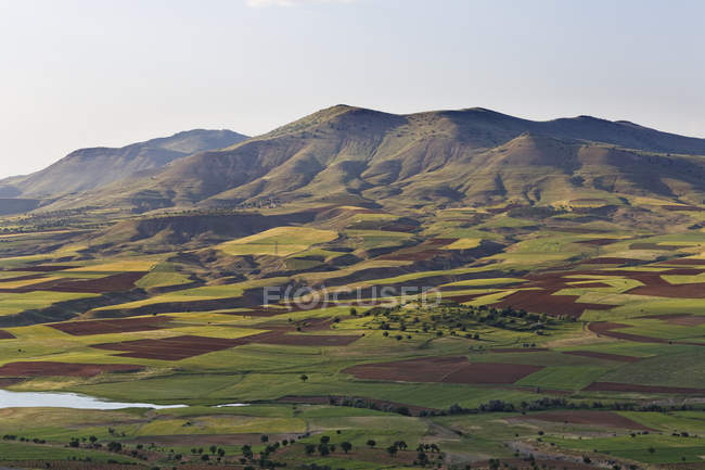 Turquie, Anatolie, Anatolie du Sud-Est, Tur Abdin, province de Batman,  champs paysage près de Gercues — Mardin, Pays agricole - Stock Photo |  #181043014