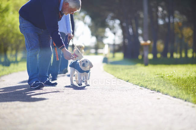Mature man training puppy outdoors — Stock Photo