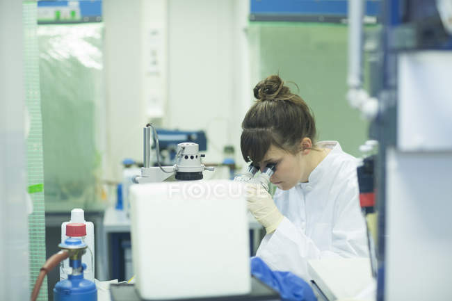 Naturwissenschaftlerin schaut im Labor durchs Mikroskop — Stockfoto