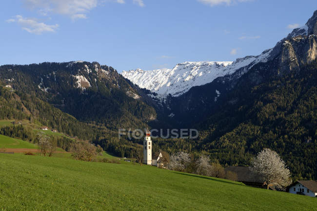 Italia, Alto Adige, Valle Isarco, St. Valentin a Seis am Schlern con erba verde durante il giorno — Foto stock