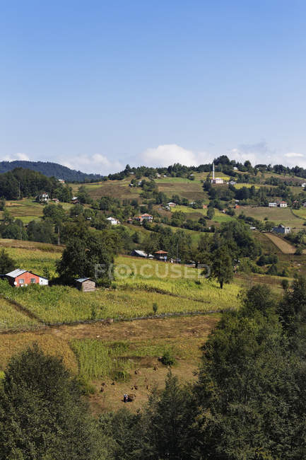 Turkey, Black Sea Region, Pontic Mountains, Ordu Province, Village near Akkus over green field — Stock Photo