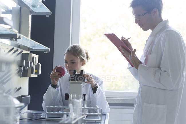 Young chemists working in a chemical laboratory — Stock Photo