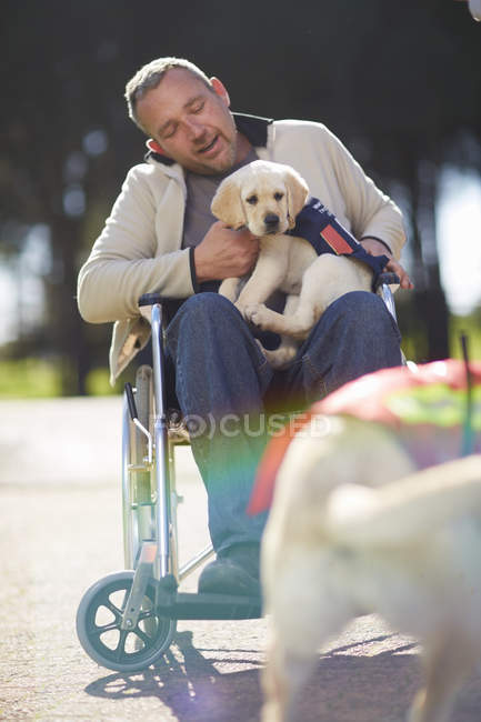 Man in wheelchair with dog puppy in park — Stock Photo