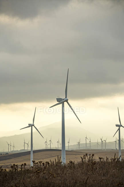 Espagne, Andalousie, Tarifa, Parc éolien sur collines sèches — Photo de stock