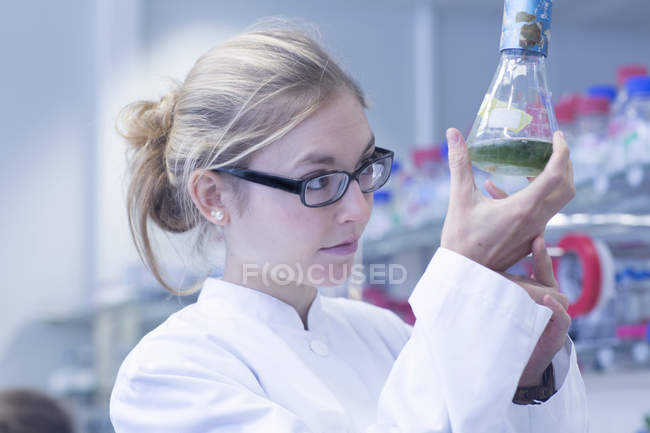 Joven científico trabajando en un laboratorio - foto de stock