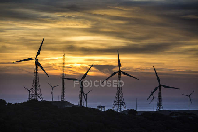 Vue panoramique du parc éolien en soirée, Tarifa, Andalousie, Espagne — Photo de stock