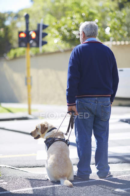 Homem deficiente visual esperando com seu cão guia na luz do pedestre — Fotografia de Stock