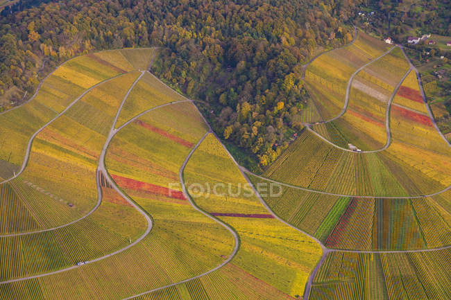 Германия, Баден-Вюртемберг, Штутгарт, вид с воздуха на виноградники в Ротенберге — стоковое фото