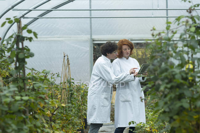 Two female scientists with digital tablet controlling plants in a greenhouse — Stock Photo