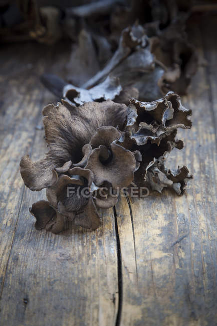 Black chanterelles, Craterellus cornucopioides, on dark wood — Stock Photo