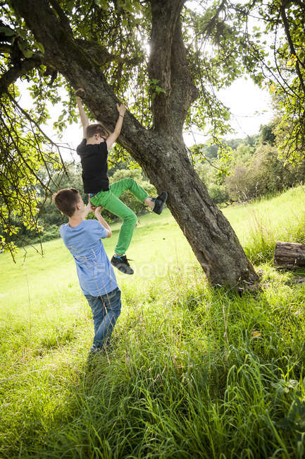 Junge hilft seinem Freund, einen Baum herunterzuklettern — Stockfoto