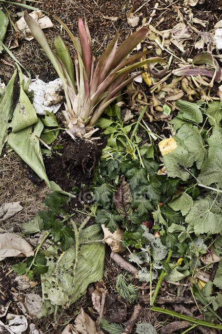 Compost with bio waste for composting — Stock Photo
