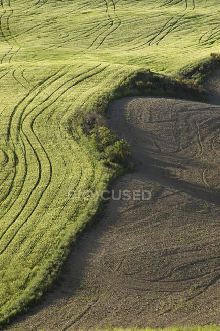 Italia, Toscana, Crete Senesi, Pneumatici di un trattore in campo — Foto stock