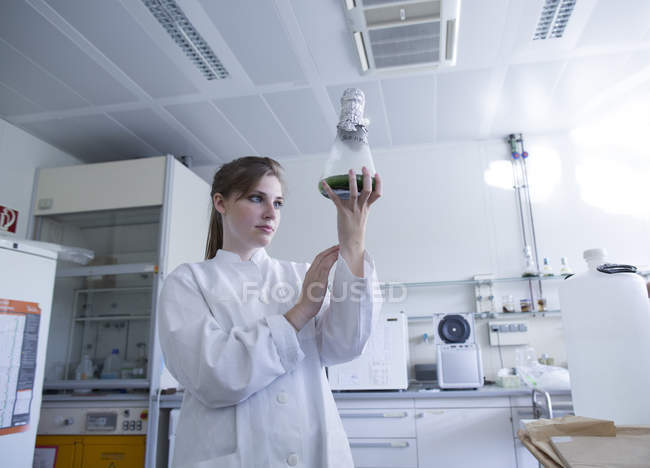 Young natural scientist watching alga-culture in an Erlenmeyer flask — Stock Photo