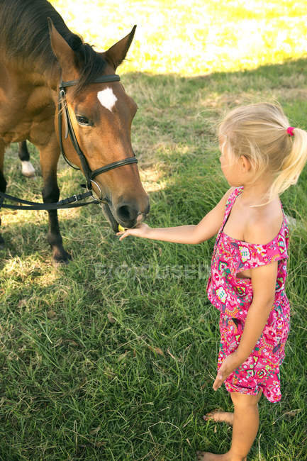 Fille nourrir cheval sur prairie — Photo de stock