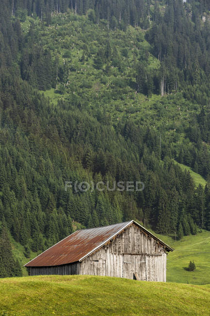 Austria, Alte Alpi di Allgaeu, rifugio in legno a Kleinwalsertal in collina contro gli alberi — Foto stock
