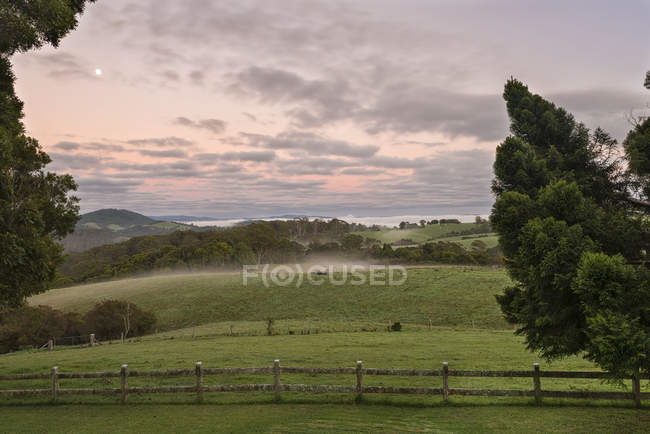 Austrália, Nova Gales do Sul, Dorrigo, prados no Parque Nacional Dorrigo ao amanhecer — Fotografia de Stock