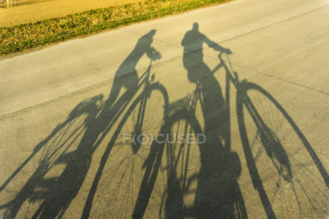 Sombras de pareja en bicicletas en la carretera — Camino, gente - Stock  Photo | #181529190