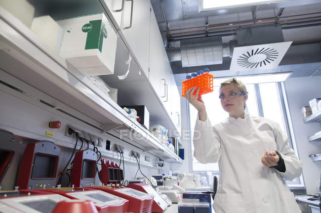Jovem cientista trabalhando em laboratório biológico inspecionando amostras — Fotografia de Stock