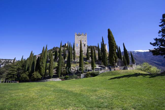 Italia, Trentino, Arco, Castello di Arco sugli alberi sull'erba durante il giorno — Foto stock