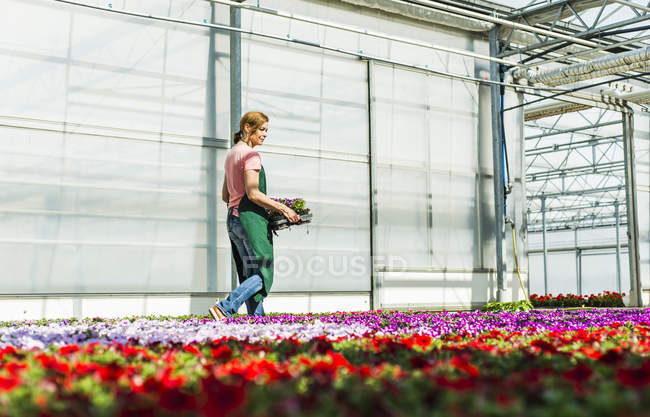 Mulher em berçário transportando bandeja com flores — Fotografia de Stock