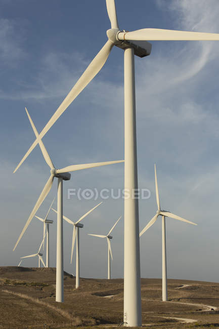 Spain, Andalusia, Cadiz, wind turbines standing on a field — Stock Photo