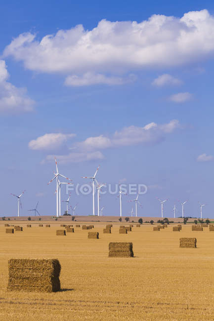 Germania, Sassonia-Anhalt, Magdeburgo Boerde, campo di stoppie con balle di paglia e parco eolico sullo sfondo — Foto stock