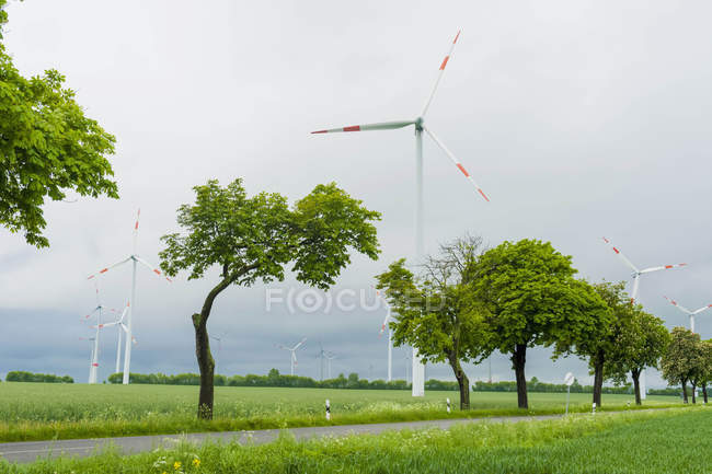Germania, Meclemburgo-Pomerania Anteriore, Veduta della turbina eolica in campo — Foto stock