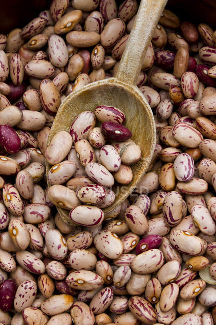Fagioli borlotti con cucchiaio di legno, da vicino — Foto stock
