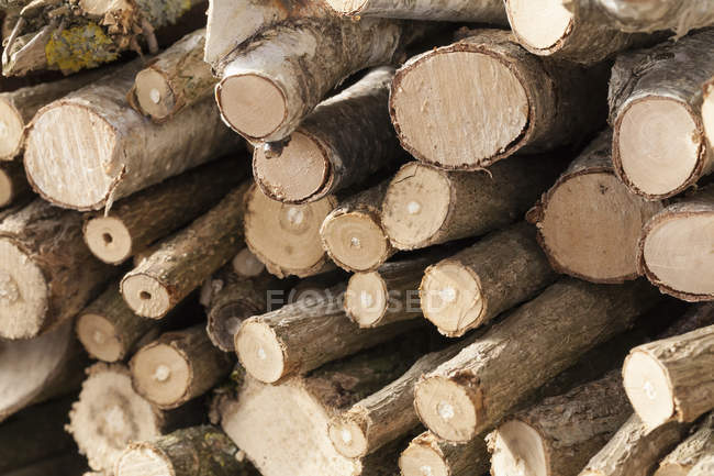 Blick auf Holzstapel, Nahaufnahme — Stockfoto