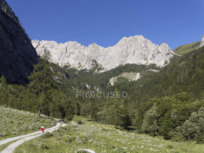 Austria, Carinthia, Carnic Alps, Hiker walking at Biegengebirge — Stock Photo