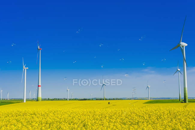 Germany, Saxony, Wind turbines in flowering yellow oilseed rape field — Stock Photo