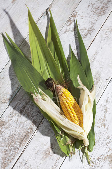 Épi de maïs avec des feuilles sur table en bois blanc — Photo de stock