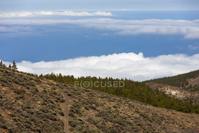 Blick auf den Teide Nationalpark bei Tag, Spanien — Stockfoto