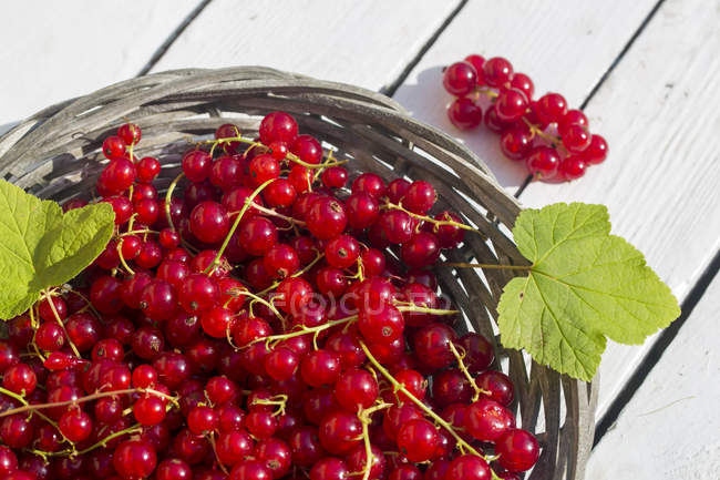 Close-up of red currants in basket on white wood — Stock Photo