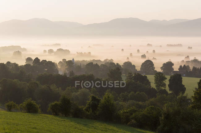 Germany, Bavaria, View of Murnauer Moos with fog at sunrise — Stock Photo