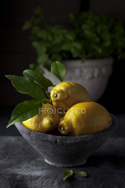 Close-up of lemons and leaves in bowl on black fabric — Stock Photo