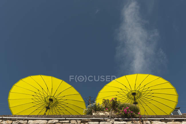 Франція, Бретань, дві жовті тіньові навіси і поле квітка — стокове фото