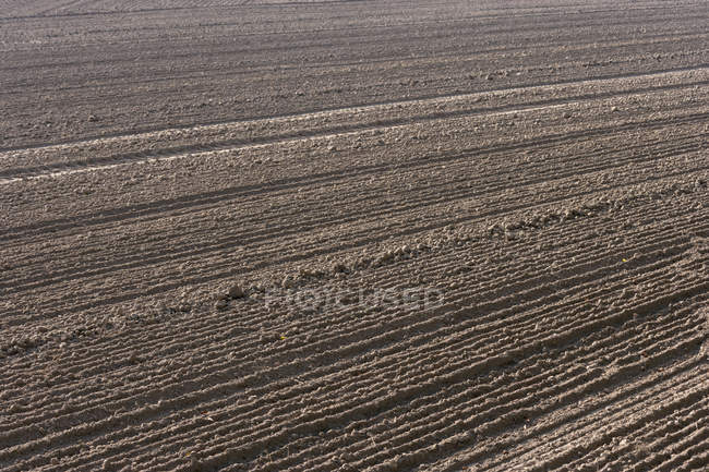 Vista del suelo arado durante el día - foto de stock