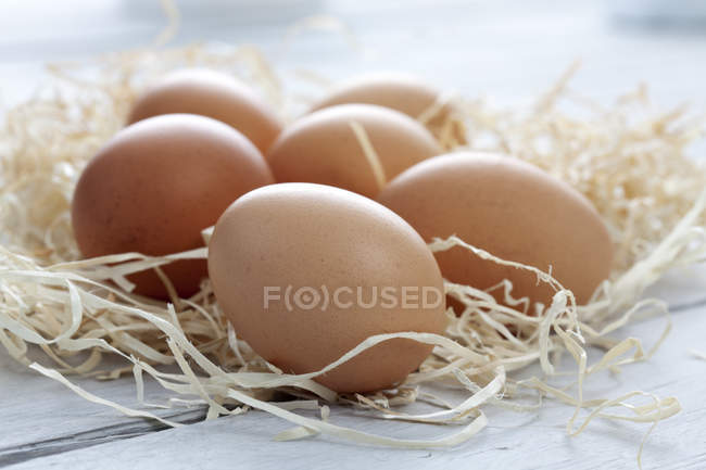 Fresh eggs on wood wool, close up — Stock Photo