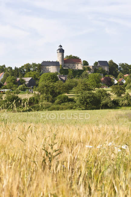 Alemanha, Baviera, Franconia, Vista dos edifícios do Castelo de Zwernitz, campo de cereais em primeiro plano à luz do sol — Fotografia de Stock