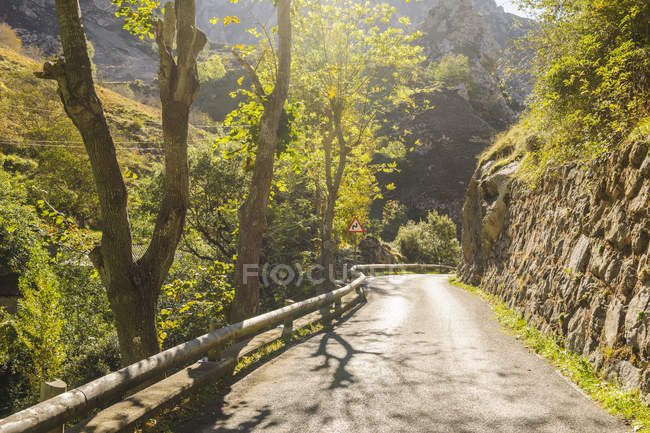 Spagna, Asturia, Parco Nazionale Picos de Europa, Ruta del Cares, Strada tortuosa circondata da alberi durante il giorno — Foto stock