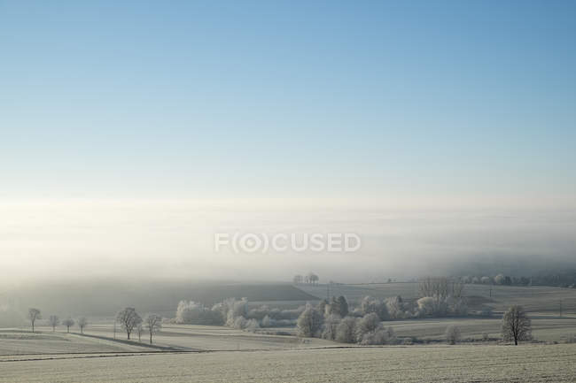 Туман на полях района Туттлинген в Баден-Вюртемберге, Германия — стоковое фото