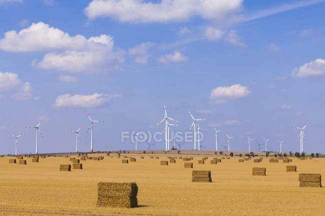Germania, Sassonia-Anhalt, Magdeburgo Boerde, campo di stoppie con balle di paglia e parco eolico sullo sfondo — Foto stock